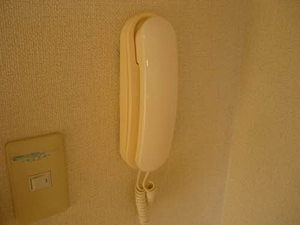 フレグランス安原 0101号-8