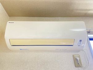マメゾン 0201号-15