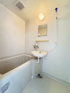マメゾン 0203号-10