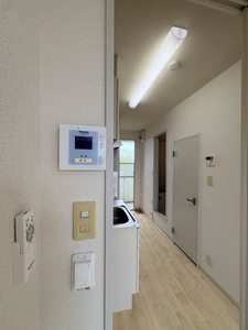 マメゾン 0203号-14