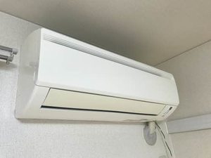 フレグランスマルベリィ・Ｓ 0101号-12