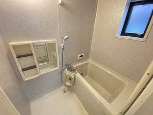 ピースフル愛宕 D101号-10