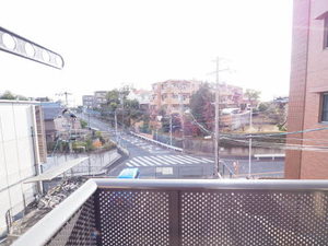 コトー葵 0205号-10
