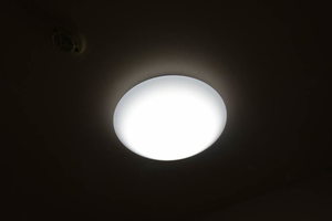 フレグランス裕 0202号-13