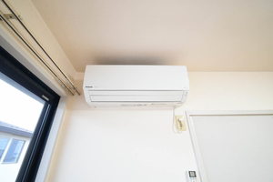 Ｂｅｌｌｅ　Ｓｏｐｈｉａ　Ｉｍａｉｓｅ C207号-12