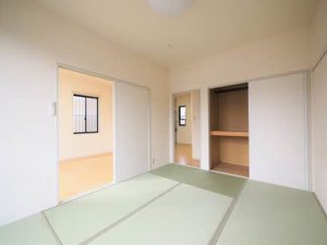 レオエルド 0105号-4