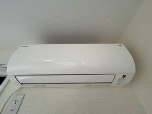 ディアスモトイマ C102号-12