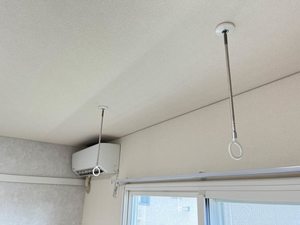 ＷＥＬＬ　ＣＲＩＢ　ＴＯＫＩＷＡＧＩ 0202号-11