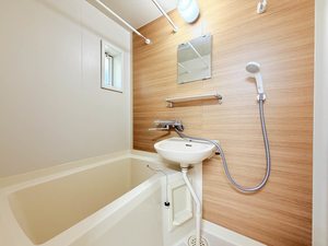 ＷＥＬＬ　ＣＲＩＢ　ＴＯＫＩＷＡＧＩ 0205号-9