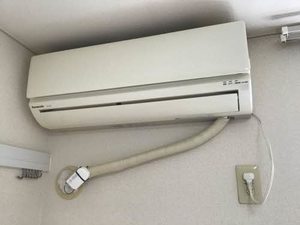 フレグランスHONEY N101号-10