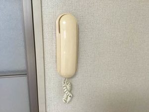 フレグランスHONEY N101号-11