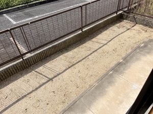 カーサディアス11 0101号-12