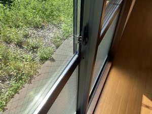 エミネンス　グリーン 0102号-3