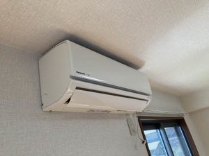 エミネンス　グリーン 0102号-4