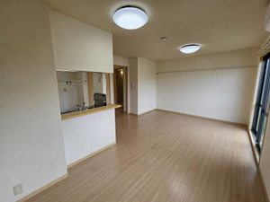 エミネンス　グリーン 0106号-3