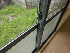 エミネンス　グリーン 0106号-5