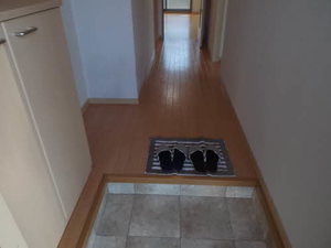 エミネンス　グリーン 0107号-4