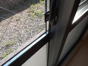 エミネンス　グリーン 0107号-7