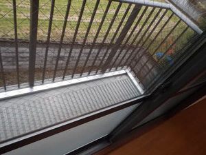 エミネンス　グリーン 0201号-5