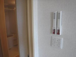 エミネンス グリーン 0207号-8