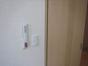 エミネンス グリーン 0207号-11