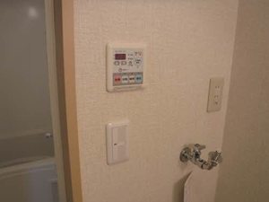 エミネンス グリーン 0207号-14