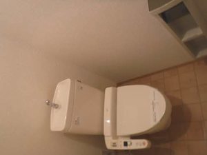 エミネンス グリーン 0207号-15
