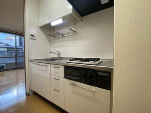 ジュネスノーダン 0102号-4