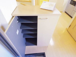 フロンティア新榮 0505号-14