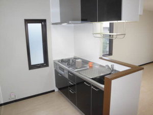 マウントクック C202号-3