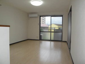 マウントクック C202号-4