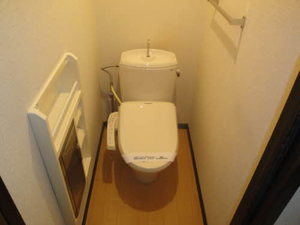 マウントクック C202号-10