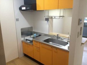 ラフォーレ西山 0102号-14