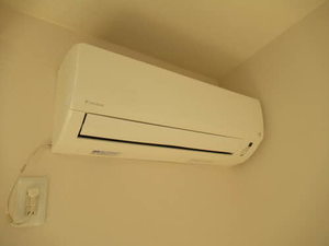 プリマベーラ B202号-13