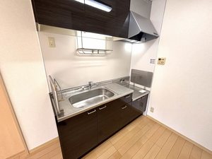 ヴェルドミール愛 0102号-4