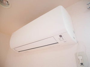 プロシード A101号-13