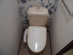 メゾン平正 A101号-11