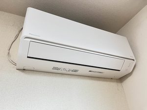 カペレボヌール 0101号-12