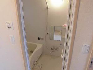 マメゾン　サクラ 0103号-4