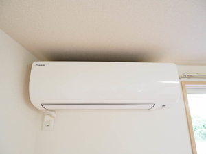 マメゾン サクラ 0103号-15