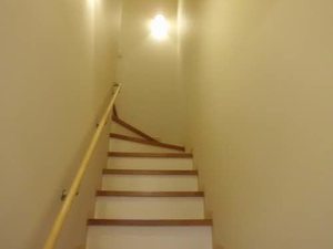 マメゾン　サクラ 0202号-3