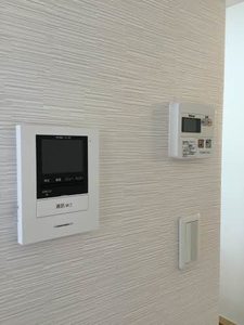 メゾンＡＩＧＩ D201号-11