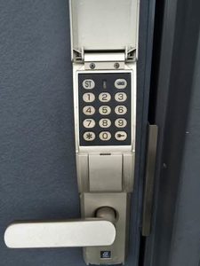 アフロディア 0202号-11