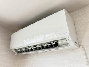 ボナール 0201号-12