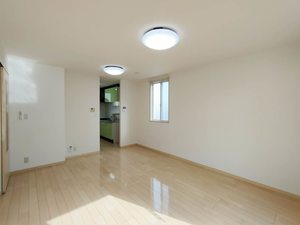 ルミエールブランシェ 0101号-4