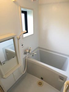 ルピナス 0102号-6