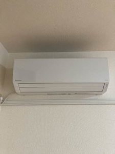 ルピナス 0102号-8