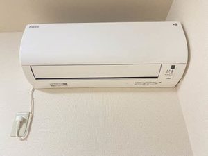 ＳＯＲＧＥＮＴＥ A202号-12