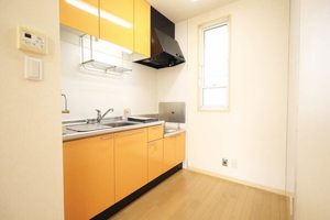 ＳＯＲＧＥＮＴＥ C201号-4