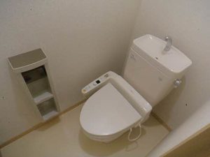 アプリコット下堀 0202号-11